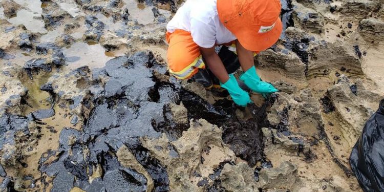 Óleo que atingiu praias do Nordeste veio de petroleiro grego, diz PF