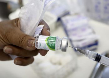 Testes mostram que atual vacina da gripe protege contra H3N2 Darwin