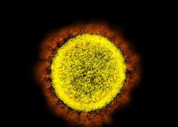 Brasil registra 56 mortes por covid-19 em três dias