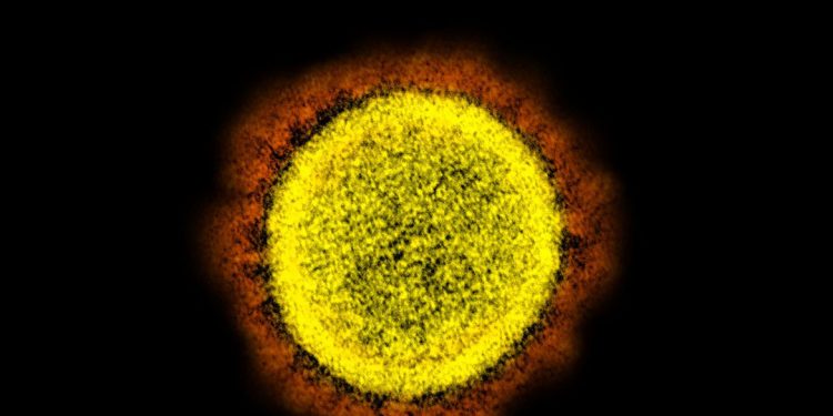 Brasil registra 56 mortes por covid-19 em três dias