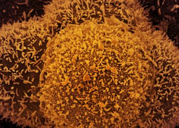 País tem 24.382 novos casos de covid-19 e 44 mortes em 24 horas