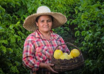 Agricultores de 113 cidades têm até dia 20 para pagar boleto de adesão ao Garantia Safra