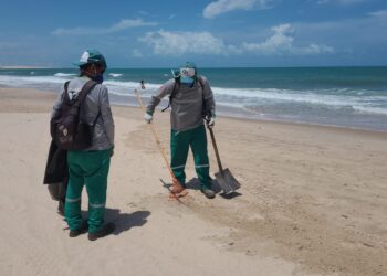 Semace divulga novos boletins de balneabilidade da orla cearense