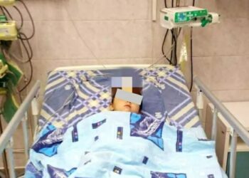 Mãe é presa por jogar bebê dentro de jaula de urso no Uzbequistão