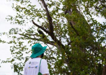 Governo do Ceará anuncia concurso público para a Semace