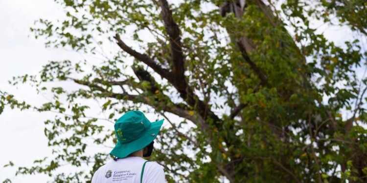 Governo do Ceará anuncia concurso público para a Semace