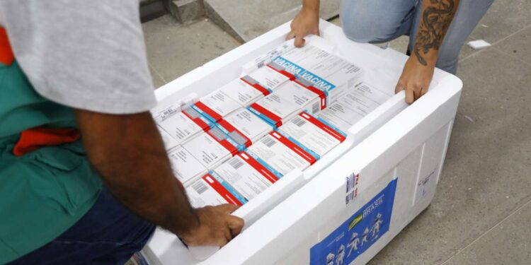 Mais de 404 mil doses de vacinas chegam ao Ceará para a imunização de adultos contra a covid-19