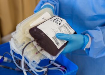 Confira dez mitos e verdades sobre a doação de sangue