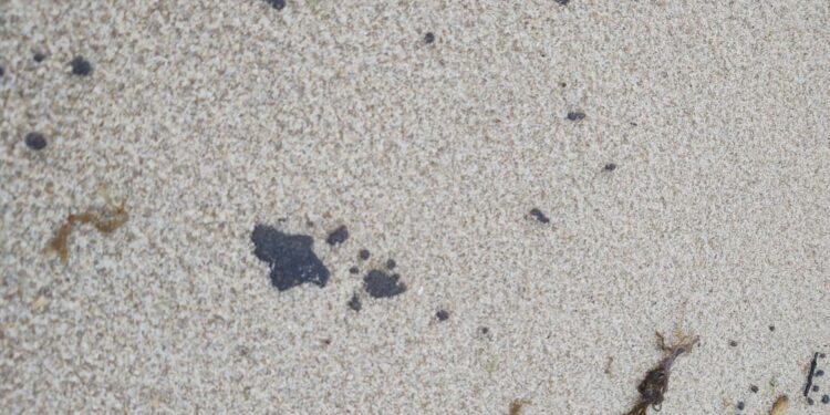 Litoral cearense tem 64 praias com manchas de óleo