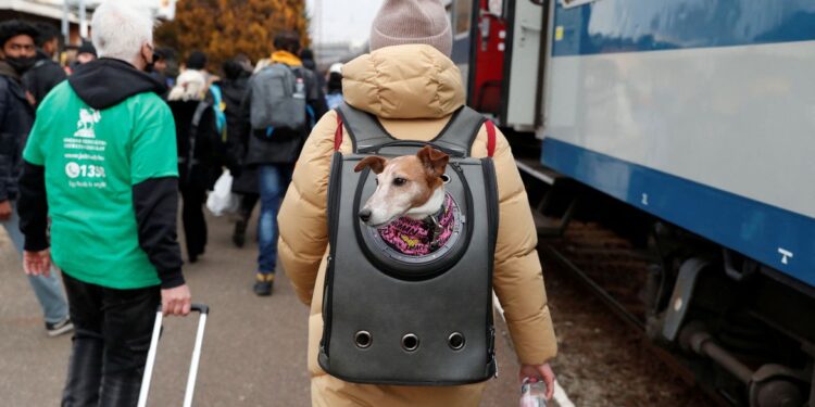 Rússia e Ucrânia vão abrir corredores humanitários para saída de civis