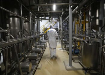 Ceará gera 81,4 mil empregos formais em 2021