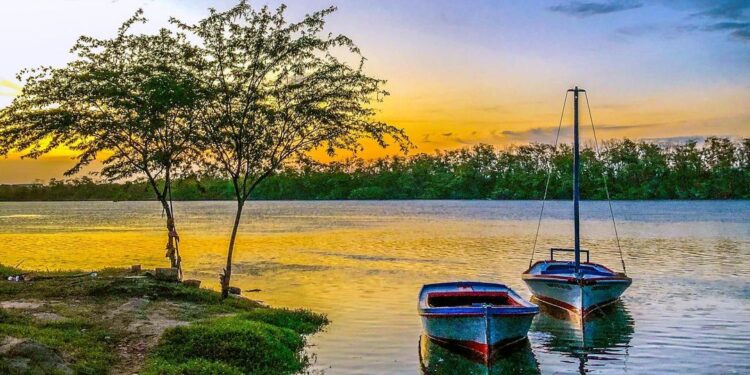 Aracati realiza ações ambientais em defesa da água e da árvore neste mês de março