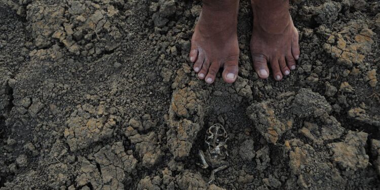 Governo reconhece situação de emergência em 38 cidades