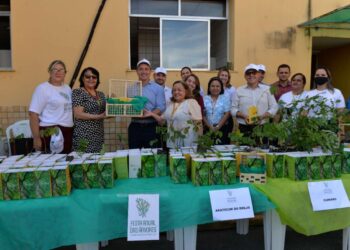 Festival das Árvores: 200 mudas nativas são entregues a servidores da SSPDS