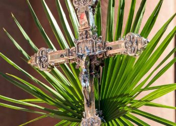 Paróquia Nossa Senhora do Rosário de Aracati divulga programação de Domingo de Ramos; confira