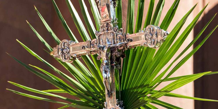Paróquia Nossa Senhora do Rosário de Aracati divulga programação de Domingo de Ramos; confira