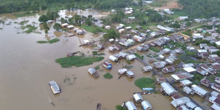 Pescador preso confessou assassinato de indigenista e jornalista no AM, diz PF
