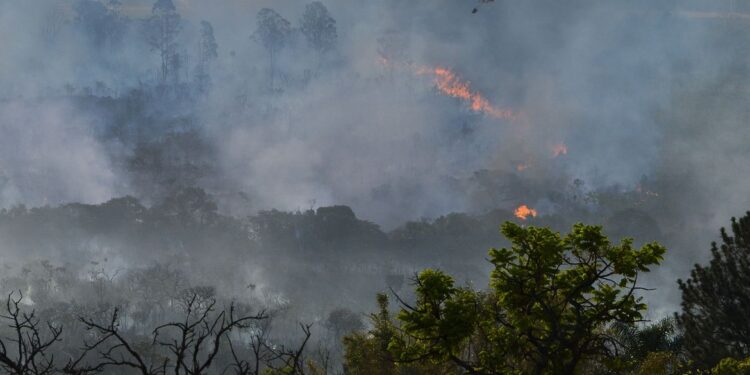 Decreto suspende queimadas em todo território nacional