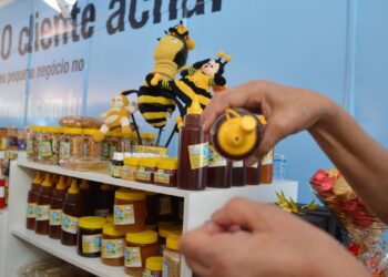 Quase 70% das empresas ativas no país são MEI, divulga ministério