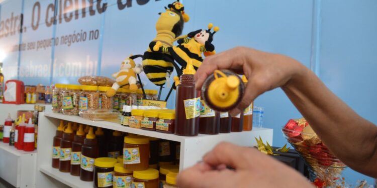 Quase 70% das empresas ativas no país são MEI, divulga ministério