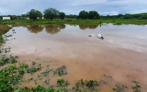 Queda de helicóptero no Rio Grande do Norte deixa três mortos