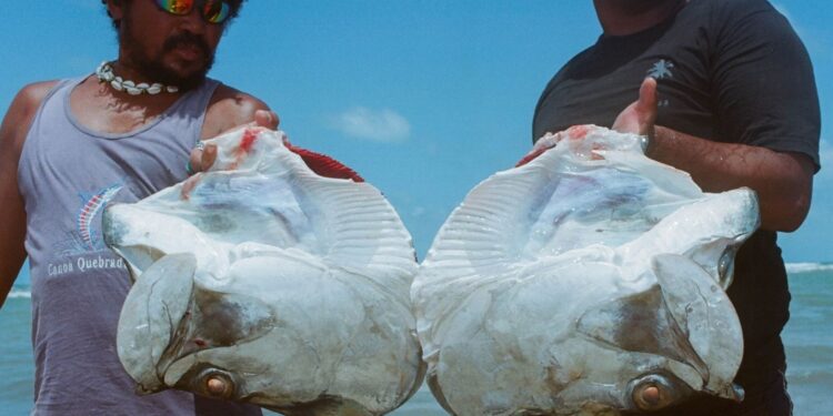 Artista visual lança ensaio multimídia com fotos e narrativas de Canoa Quebrada