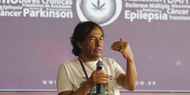 Saúde: pesquisa e uso da cannabis avançaram no Brasil nos últimos anos