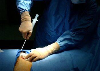 Saiba como funciona a doação de medula óssea no país