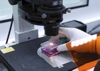 Brasil falha no enfrentamento da varíola dos macacos, dizem epidemiologistas