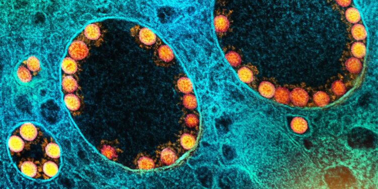 Pesquisa mostra eficácia da vitamina B12 para atenuar covid-19