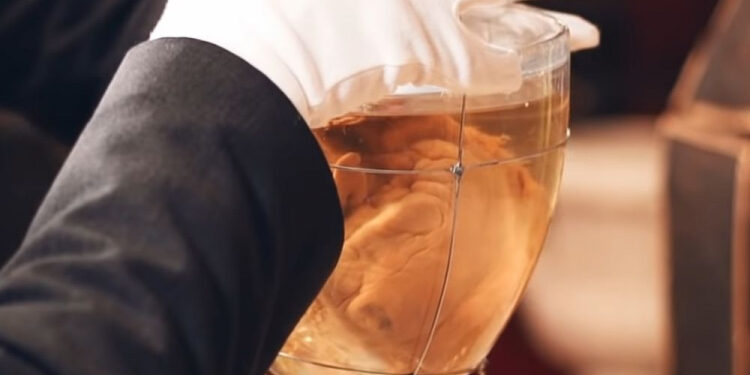 Público terá quatro dias para ver coração de D. Pedro I no Itamaraty