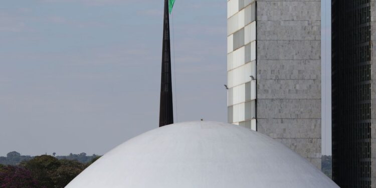 Eleições 2022: saiba o que faz um senador