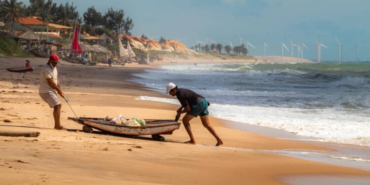Nordestino: adjetivo de resistência