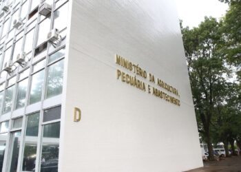 Agricultura familiar terá novo cadastro a partir desta terça-feira