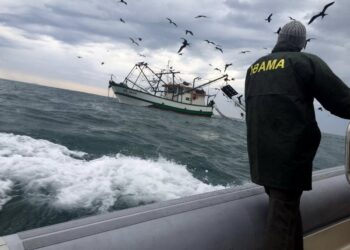 Prefeitura do Aracati e Ibama alertam para período de defeso