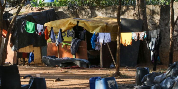 Reorganização do Bolsa Família é prioridade do Desenvolvimento Social