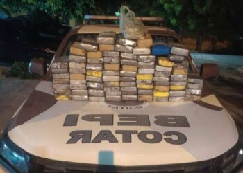 Mais de cinco toneladas de drogas foram apreendidas no Ceará em 2022