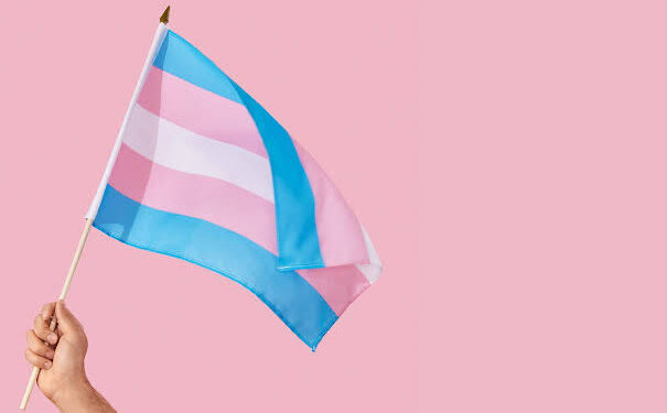 Identidade de Orgulho: Pefoce já emitiu quase 6.600 RGs com nome social