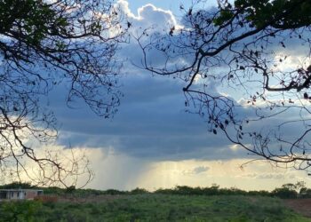Ceará volta a ter condições de chuva em todas as macrorregiões