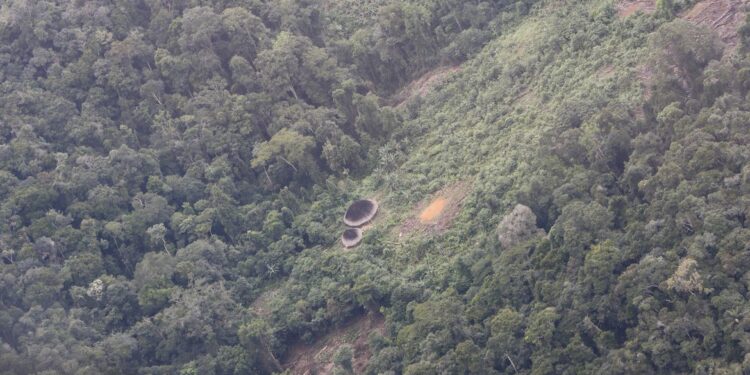 Governo envia novas equipes de socorro à Terra Indígena Yanomami