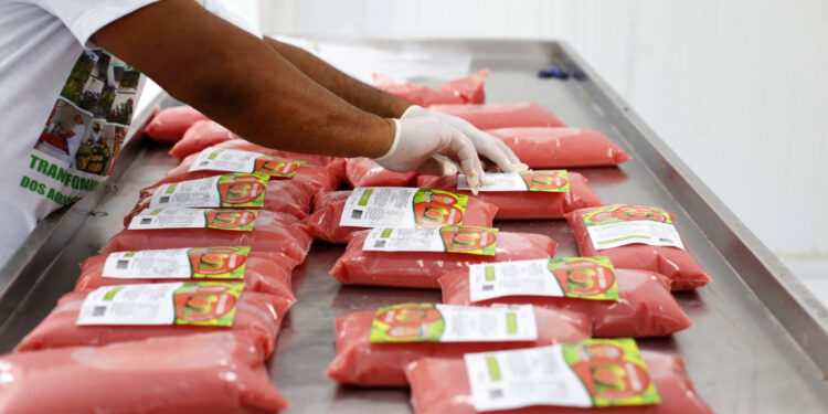 Projeto São José: apoio garante renda aos agricultores familiares e alimento de qualidade na mesa dos cearenses