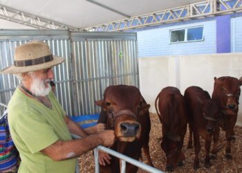 2ª edição da Feira do Agronegócio movimenta Aracati