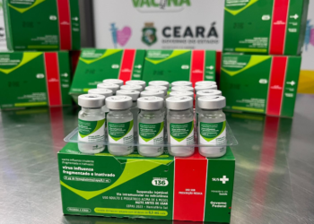 Ceará antecipa vacinação contra a influenza para crianças e inicia campanha nesta segunda-feira (27)