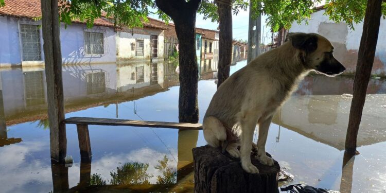 Rompimento de barragem alaga 23 casas e deixa 32 desalojados no Ceará