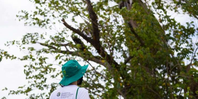 Estão abertas as inscrições para 9.570 vagas do Programa Agente Jovem Ambiental