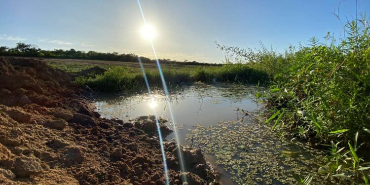 Ceará deve seguir com poucas chuvas até quarta-feira (26)