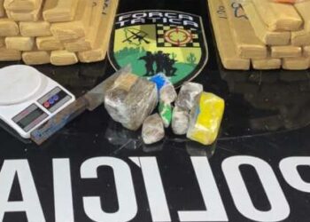 Polícia Militar apreende 36,5 kg de maconha em Fortaleza