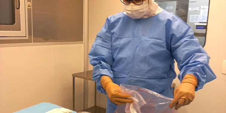 Pesquisa desenvolve curativos biológicos à base de placenta