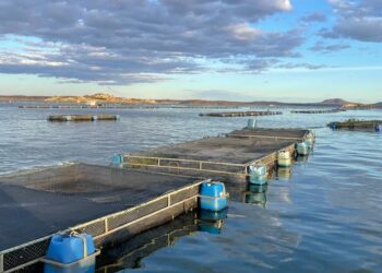 Projeto visa dimensionar a capacidade de suporte do açude Castanhão