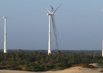 Capacidade de geração de energia eólica deve bater recorde neste ano